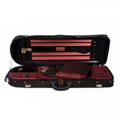 Riboni Zero 2 Meister Violinkasten